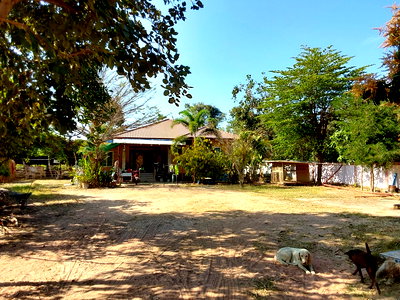 Houses for sale Khon Kaen : HOME 345 Sq.w. Muang Khon Kaen Khon Kaen for 1.1M