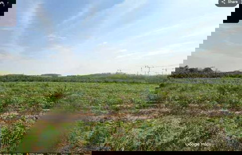 ขาย ที่ดิน 150 ไร่ ศักยภาพสูง ติดนิคมโรจนะ หนองใหญ่ ชลบุรี