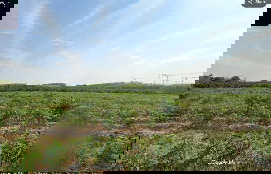 รูป ขาย ที่ดิน 150 ไร่ ศักยภาพสูง ติดนิคมโรจนะ หนองใหญ่ ชลบุรี - รูปที่ 1/4