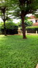 listing thumbnail image 22