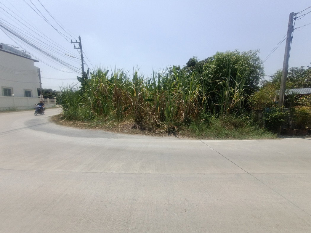 รูป ขายที่ดินขนาด 111 ตร.ว. ติดถนนซอยเลียบคลองโยง ทำเลศาลายา อ.พุทธมณฑล จ.นครปฐม - รูปที่ 4/12