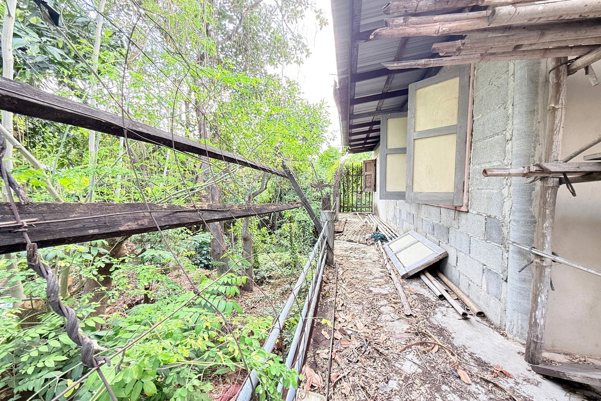รูป ขายที่ดินเมืองนนทบุรี 26 ตรว. ห่างถนนนครอินทร์เพียง 400 เมตร - รูปที่ 8/11