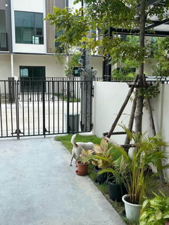 รูปภาพ R2947 Pet Friendly Townhome For Rent Altitude Kraf Bangna