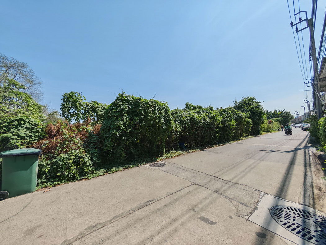 รูป ให้ เช่า ที่ดิน 5-2-42.9 ไร่ บางไผ่ ซ.7 นนทบุรี ใกล้วัดทองนาปรัง เหมาะทำโกดัง คลังสินค้า - รูปที่ 11/12