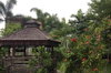 listing thumbnail image 16