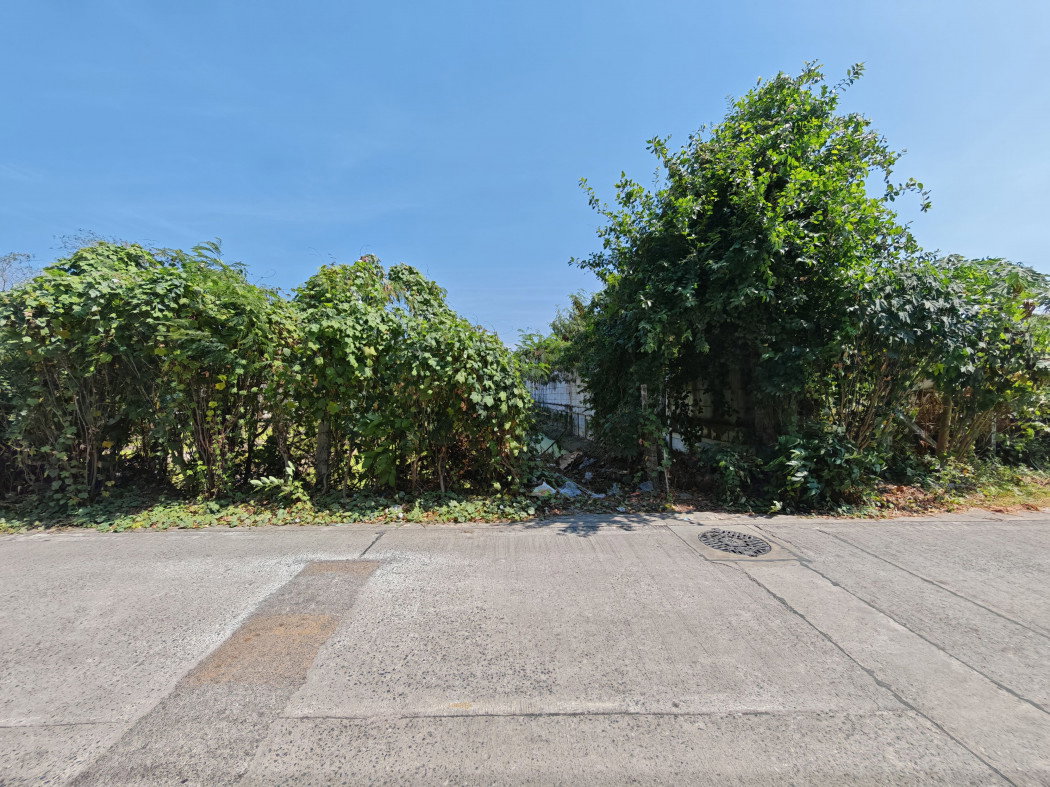 รูป ให้ เช่า ที่ดิน 5-2-42.9 ไร่ บางไผ่ ซ.7 นนทบุรี ใกล้วัดทองนาปรัง เหมาะทำโกดัง คลังสินค้า - รูปที่ 10/12