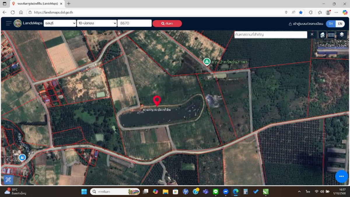 รูป ขายที่ดินแปลงใหญ่ บ่อทอง 81 ไร่ น้ำไฟพร้อม แบ่งขายได้ - รูปที่ 3/3