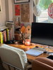 listing thumbnail image 4