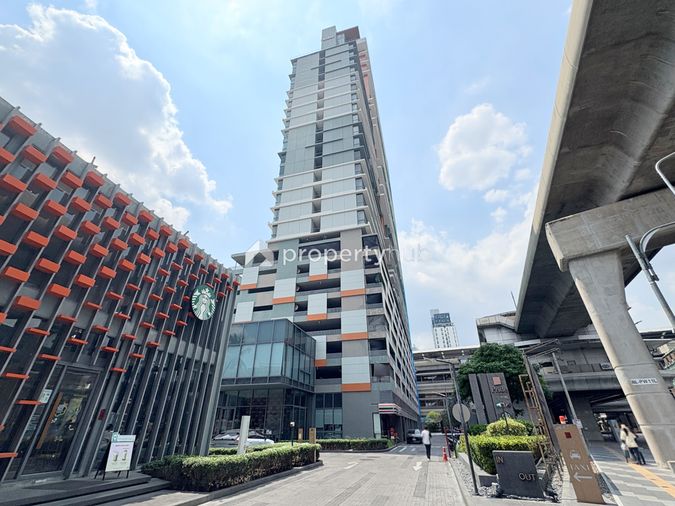 Niche Pride Taopoon - Interchange