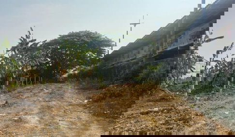 Land for sale in Sampran, Soi 12, Nakhon Pathom