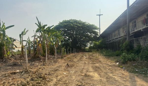 รูป ขายที่ดินเปล่าสามพราน ซ. 12 นครปฐม - รูปที่ 1/4