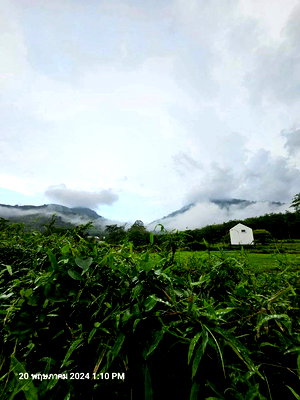 ที่ดิน บางบุตร ระยอง : ขายที่ดินติดลำธาร วิว และบรรยากาศสวย เห็นภูเขา แปลงนี้ 1 ไร่ ติดถนนคอนกรีต 