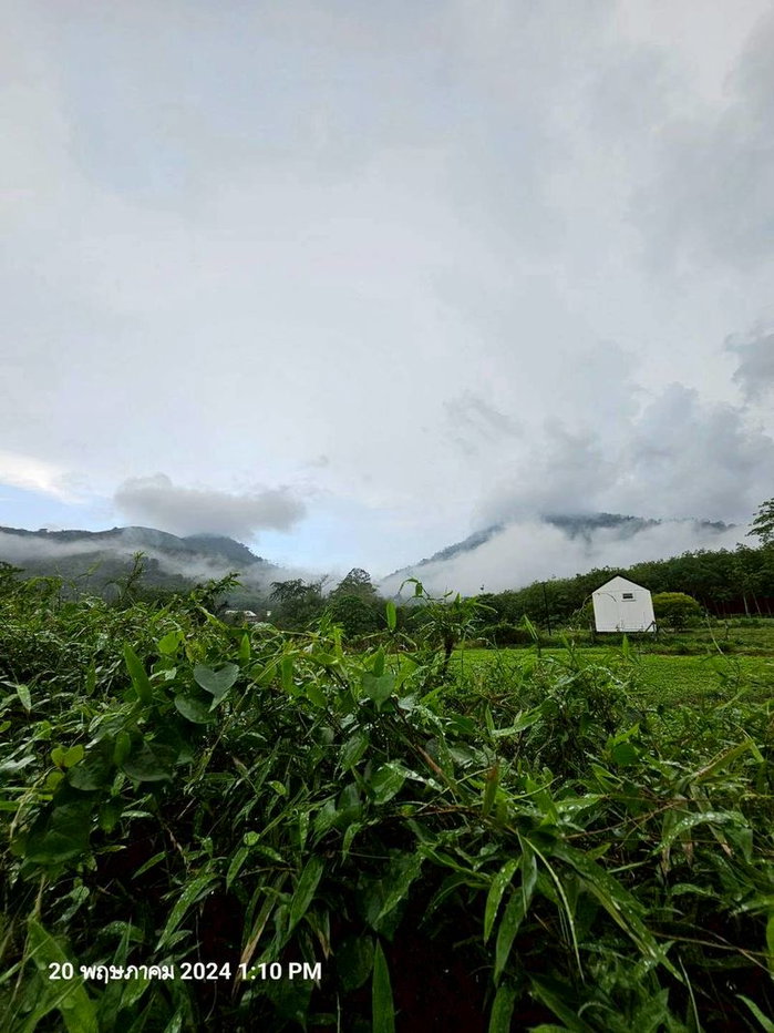 รูป ขายที่ดินติดลำธาร วิว และบรรยากาศสวย เห็นภูเขา แปลงนี้ 1 ไร่ ติดถนนคอนกรีต - รูปที่ 1/12