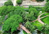 listing thumbnail image 12