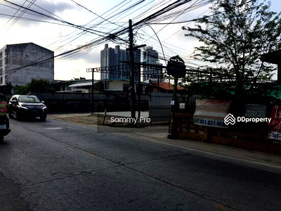 Houses for rent : House for rent Sukhumvit Soi 113, Wat Dan Samrong