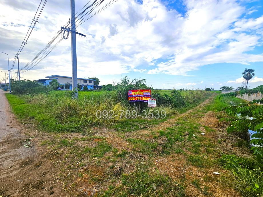 รูป ขายที่ดินชัยนาท 25-3-21 ไร่ คุ้งสำเภา ใกล้การไฟฟ้าส่วนภูมิภาค สาขาอำเภอมโนรมย์ - รูปที่ 1/19