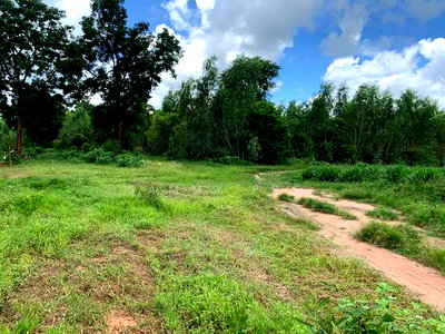 ที่ดิน ขอนแก่น : ขายที่ดินในเขตเทศบาล ต.หนองสองห้อง อ.หนองสองห้อง จ.ขอนแก่น