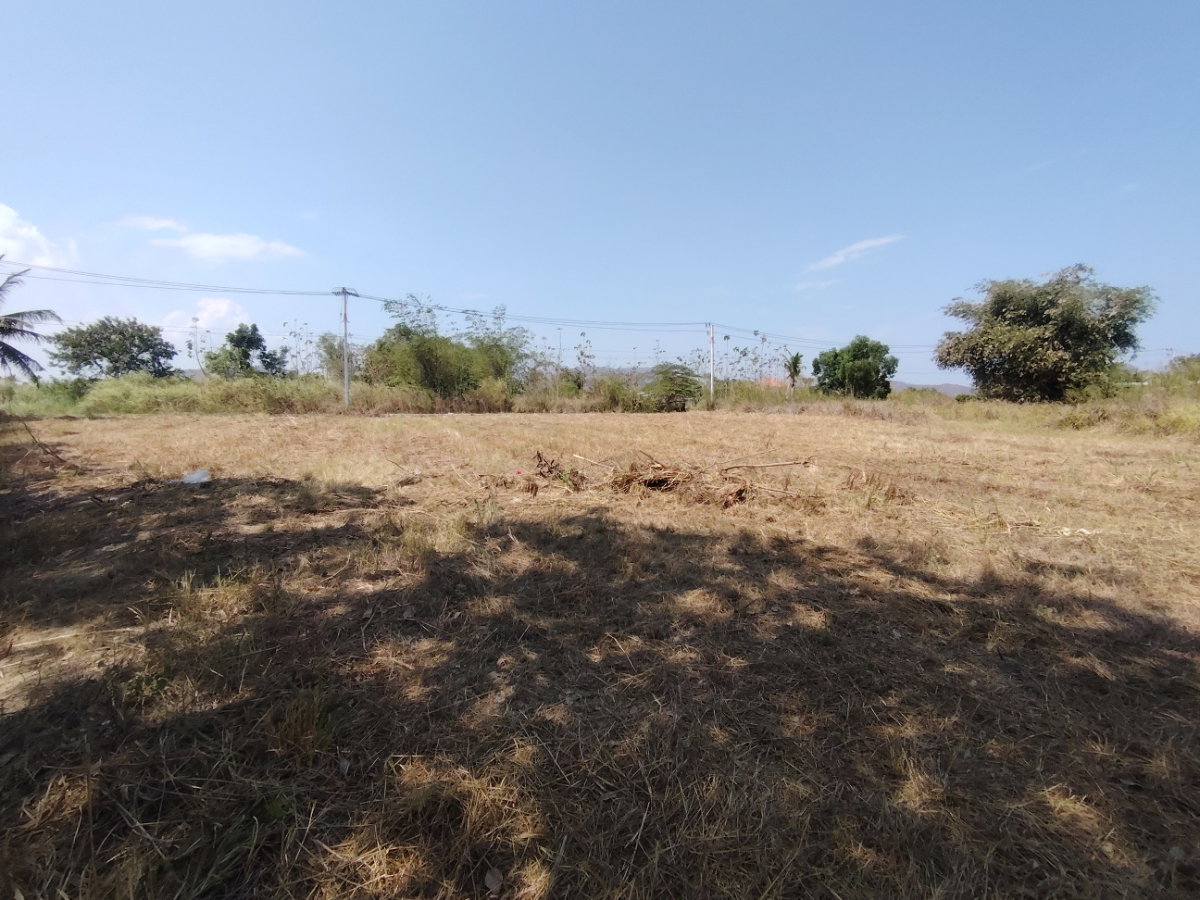 รูป ฮอตดีล! ที่ดินเปล่า 1-2-0 ไร่ ทำเลดี วิวสวยเหมาะสำหรับสร้างบ้าน  ราคาพิเศษ! รีบหน่อย! - รูปที่ 6/13