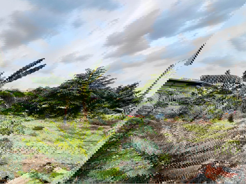 รูป ขาย ที่ดิน พหลโยธิน 34 ขนาด 1 งาน 95 ตรว ใกล้ BTS เสนานิคม มหาวิทยาลัยเกษตรศาสตร์ เกษตรนวมินทร์ ลาดปลาเค้า ลาดพร้าววังหิน : MF26S-002 - รูปที่ 2/5