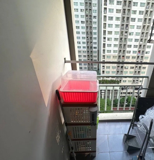 picture ðĨ For sale Lumpini park pinklao ðĨ - 8/8