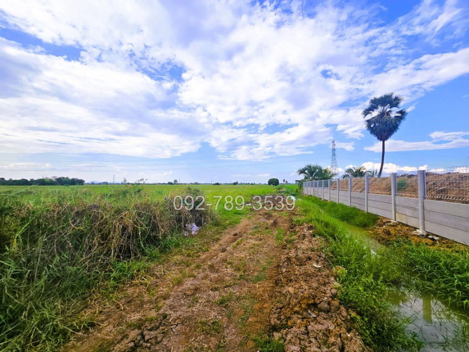 รูป ขายที่ดินชัยนาท 25-3-21 ไร่ คุ้งสำเภา ใกล้การไฟฟ้าส่วนภูมิภาค สาขาอำเภอมโนรมย์ - รูปที่ 10/19