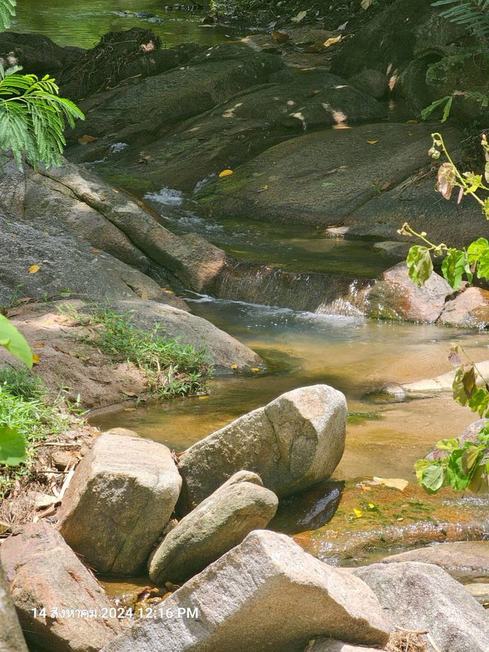 รูป ขายที่ดินติดลำธาร วิว และบรรยากาศสวย เห็นภูเขา แปลงนี้ 1 ไร่ ติดถนนคอนกรีต - รูปที่ 5/12