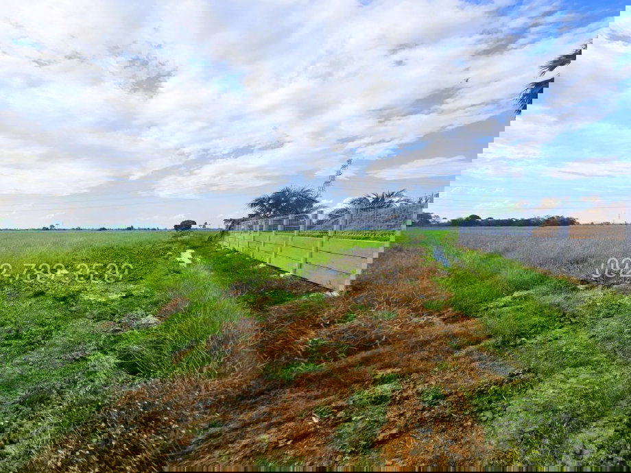 รูป ขายที่ดินชัยนาท 25-3-21 ไร่ คุ้งสำเภา ใกล้การไฟฟ้าส่วนภูมิภาค สาขาอำเภอมโนรมย์ - รูปที่ 11/19