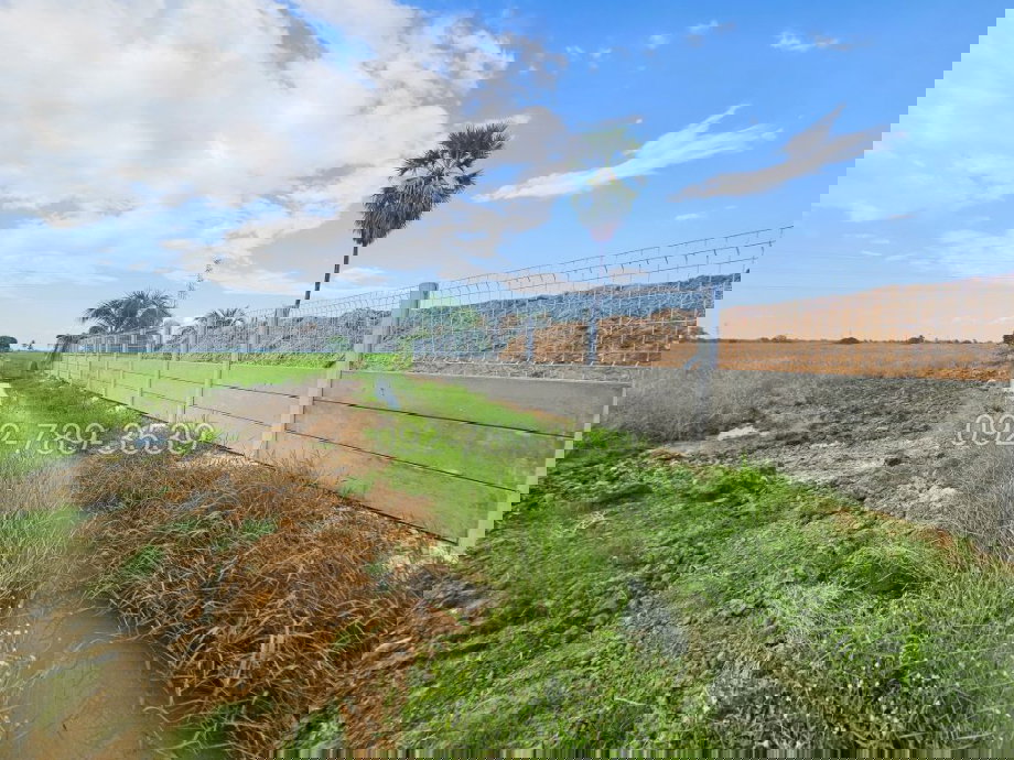 รูป ขายที่ดินชัยนาท 25-3-21 ไร่ คุ้งสำเภา ใกล้การไฟฟ้าส่วนภูมิภาค สาขาอำเภอมโนรมย์ - รูปที่ 8/19