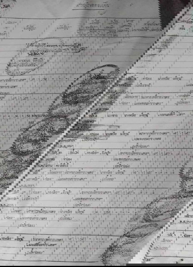 รูป ขายที่ดิน 16 ไร่ อ.แม่แตง จังหวัดเชียงใหม่ - รูปที่ 4/10