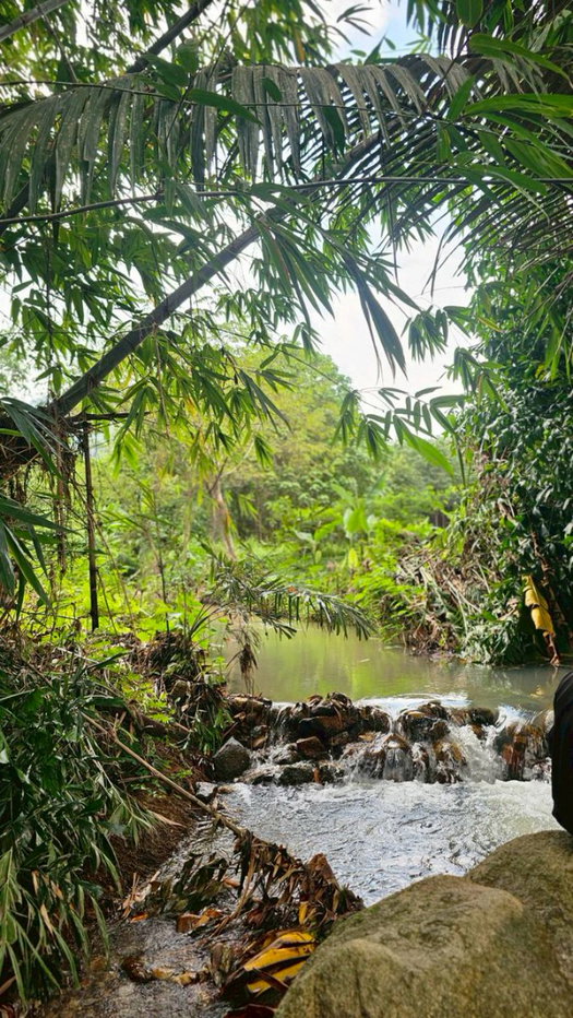 รูป ขายที่ดินติดลำธาร วิว และบรรยากาศสวย เห็นภูเขา แปลงนี้ 1 ไร่ ติดถนนคอนกรีต - รูปที่ 11/12