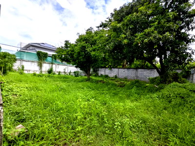 เช่าที่ดิน เขตตลิ่งชัน : ** ให้เช่า** ที่ดิน ซอยฉิมพลี 28 เนื้อที่ 100 ตร.ว. ห่างจากถนนบรมราชชนี 100 เมตร 