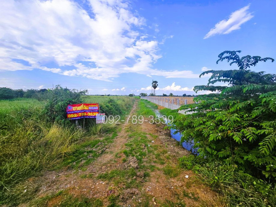 รูป ขายที่ดินชัยนาท 25-3-21 ไร่ คุ้งสำเภา ใกล้การไฟฟ้าส่วนภูมิภาค สาขาอำเภอมโนรมย์ - รูปที่ 4/19