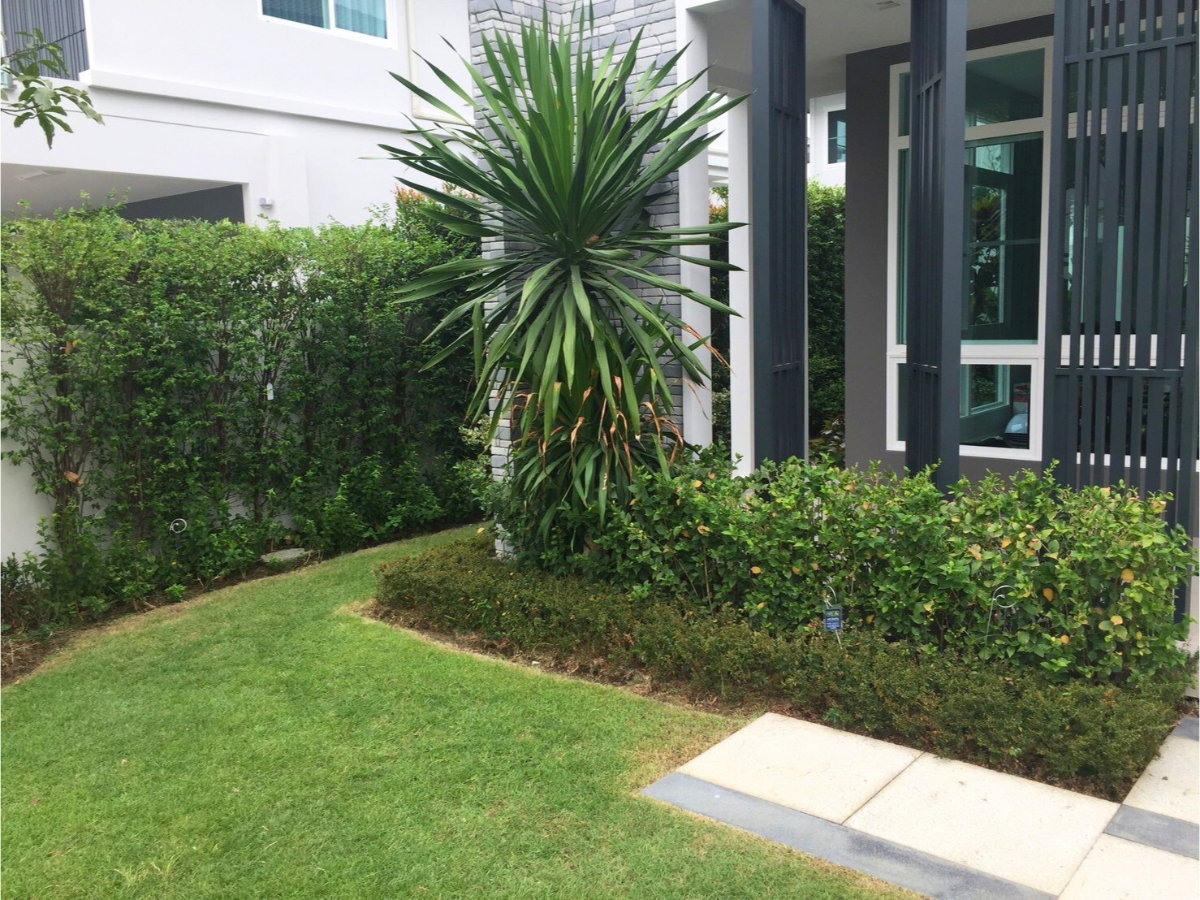 รูป บ้านเดี่ยว มัณฑนา อ่อนนุช-วงแหวน5 มีSolar cell และระบบair plus ใกล้เมกาบางนา - รูปที่ 2/17