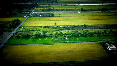 Land for sale Factory Land : Empty land for sale, Phra Achan Ongkharak, Nakhon Nayok