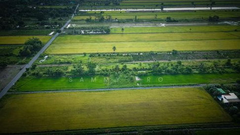 ขายที่ดินเปล่าพระอาจารย์ องครักษ์ นครนายก 8แปลง 100-150ตรว