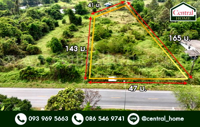 ที่ดิน บ้านนา นครนายก : ที่ดินเปล่า 4 ไร่ ติดถนนใหญ่ นย.2003 ป่าขะ นครนายก
