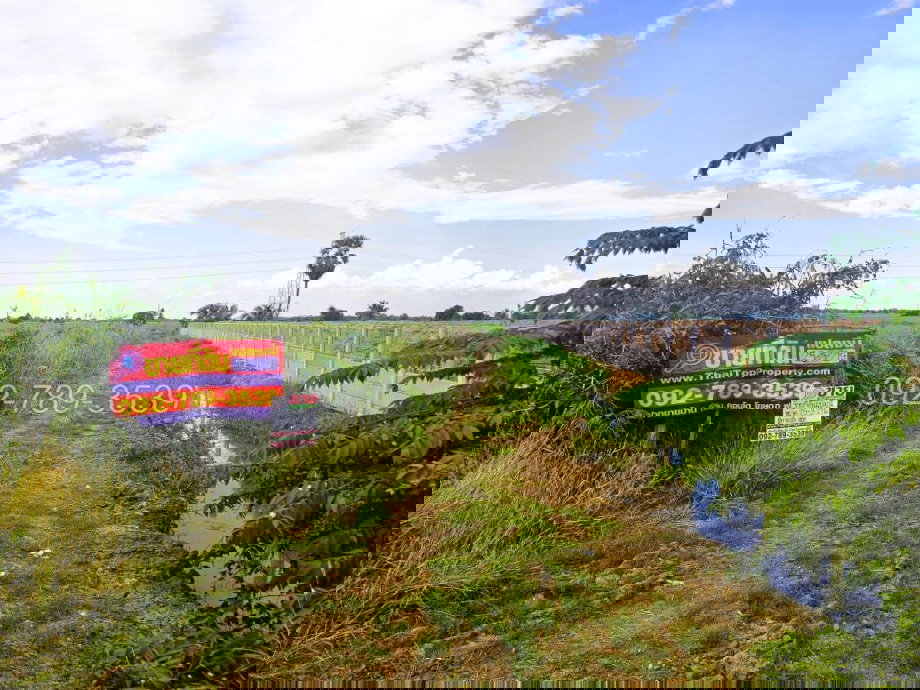 รูป ขายที่ดินชัยนาท 25-3-21 ไร่ คุ้งสำเภา ใกล้การไฟฟ้าส่วนภูมิภาค สาขาอำเภอมโนรมย์ - รูปที่ 5/19