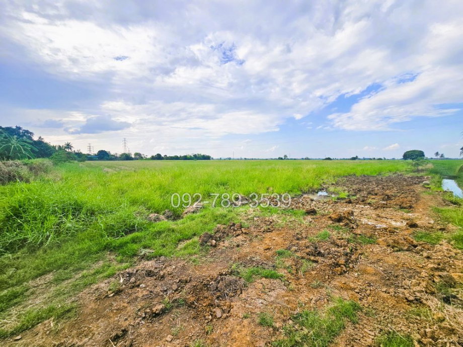 รูป ขายที่ดินชัยนาท 25-3-21 ไร่ คุ้งสำเภา ใกล้การไฟฟ้าส่วนภูมิภาค สาขาอำเภอมโนรมย์ - รูปที่ 12/19
