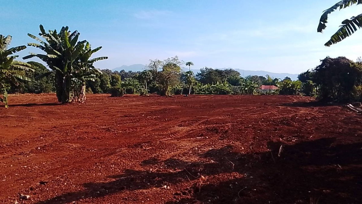 รูป ขายที่ดิน 16 ไร่ อ.แม่แตง จังหวัดเชียงใหม่ - รูปที่ 8/10