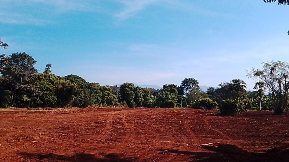 รูป ขายที่ดิน 16 ไร่ อ.แม่แตง จังหวัดเชียงใหม่ - รูปที่ 9/10