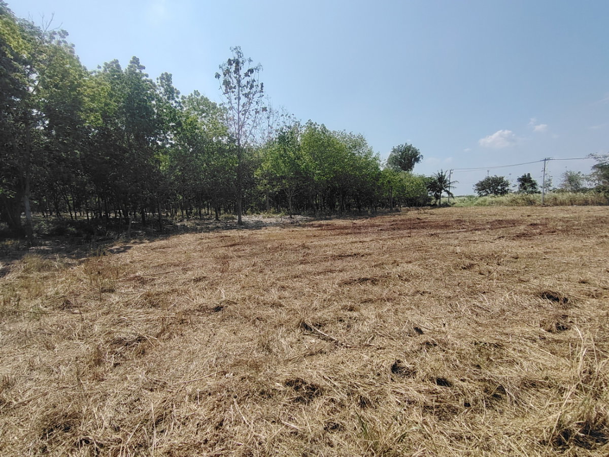 รูป ฮอตดีล! ที่ดินเปล่า 1-2-0 ไร่ ทำเลดี วิวสวยเหมาะสำหรับสร้างบ้าน  ราคาพิเศษ! รีบหน่อย! - รูปที่ 9/13