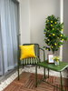listing thumbnail image 17
