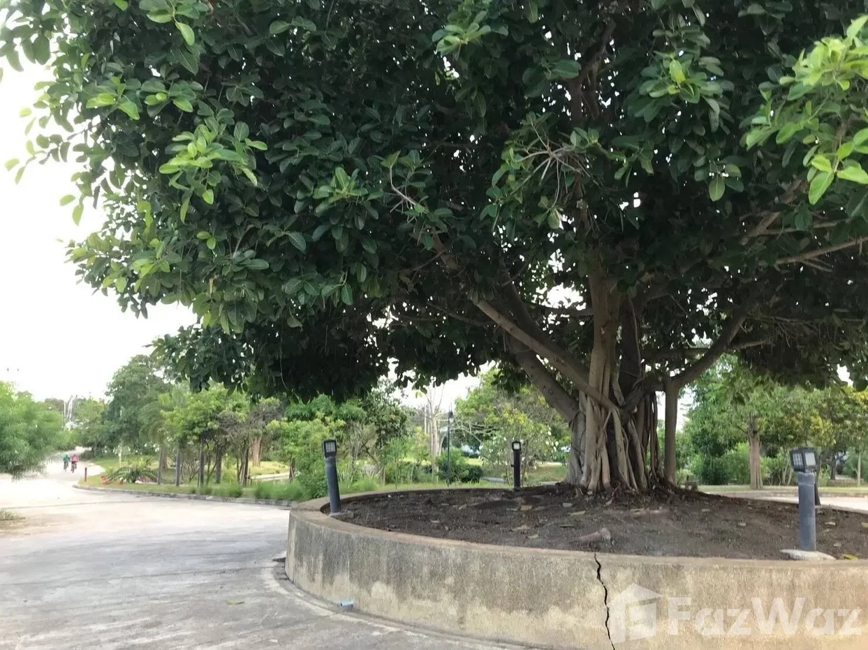 picture kiri nakara village 1940420 - 16/17