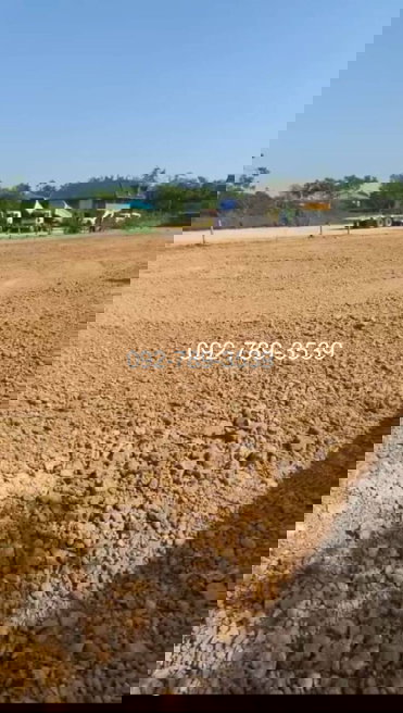 รูป ขายที่ดินเมืองพิษณุโลก 378 ตร.วา ถ.ชัยบุรี1 ใกล้วัดอรัญญิก พิษณุโลก - รูปที่ 11/12