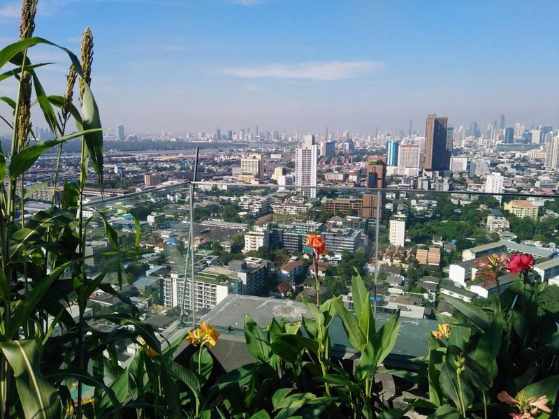 รูป ขาย คอนโด  Rhythm Sukhumvit 42 ราคาดีที่สุดในตลาด  2 ห้องนอน 2 ห้องน้ำ | ชั้นสูง  - รูปที่ 6/9