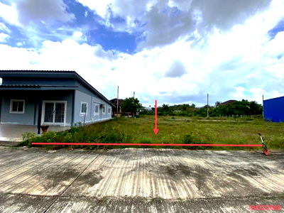 Land for sale Phatthalung : LAND for sale  Phraek Ha Khuan Khanun Phatthalung