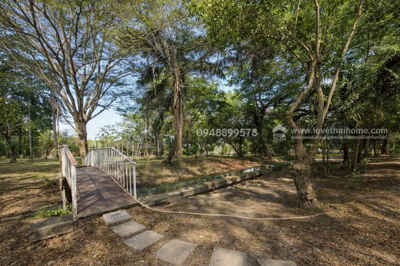 รูป ขายด่วนที่ดินพร้อมบ้าน ติดถนนประชาสำราญ - รูปที่ 15/20