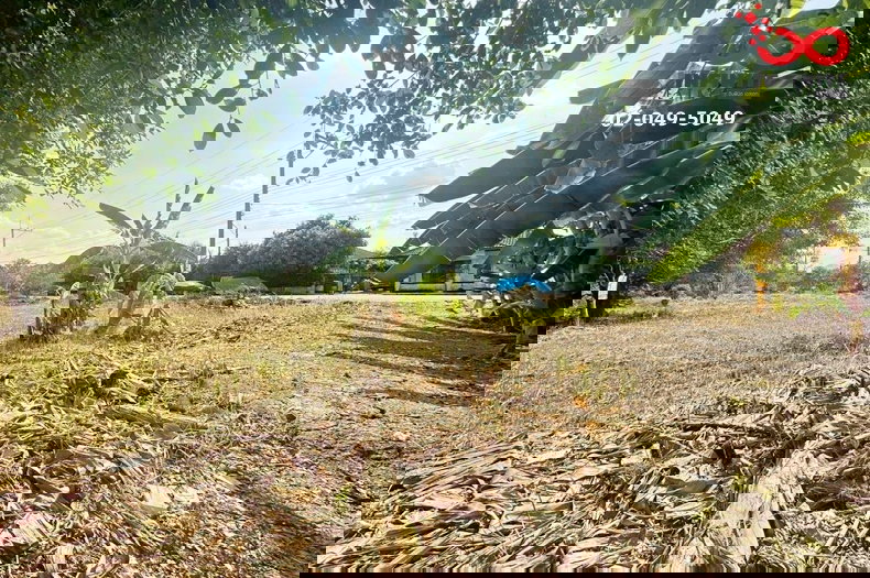 รูป ขายที่ดิน 153.4 ตรว. หมู่บ้านเทพธารินทร์ รังสิต-นครนายก คลอง11  ธัญบุรี ปทุมธานี - รูปที่ 5/6