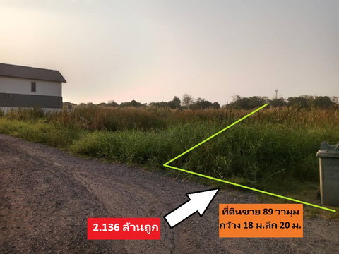 ขายที่ดินสร้างบ้านสวยจริง พหลโยธิน 54/1แยก 8-4-3 ซอยตาลเดี่ยวหลายแปลงแปลงนี้ 89 วา มุมอย่างสวยพึ่งเปิดขายเก่าเก็บ