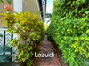 listing thumbnail image 55